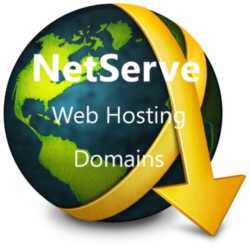 NetServeOnSite Logo